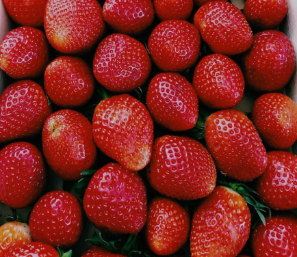 ERDBEEREN